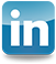 in-icon